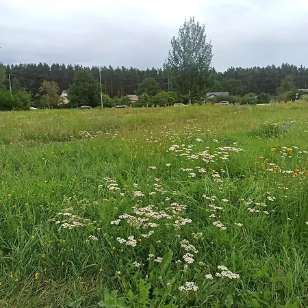 Apartment Cozy In Purvciems
