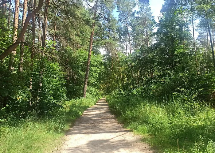 Cozy In Purvciems Dzīvoklis