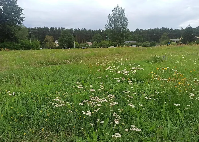 Dzīvoklis Cozy In Purvciems